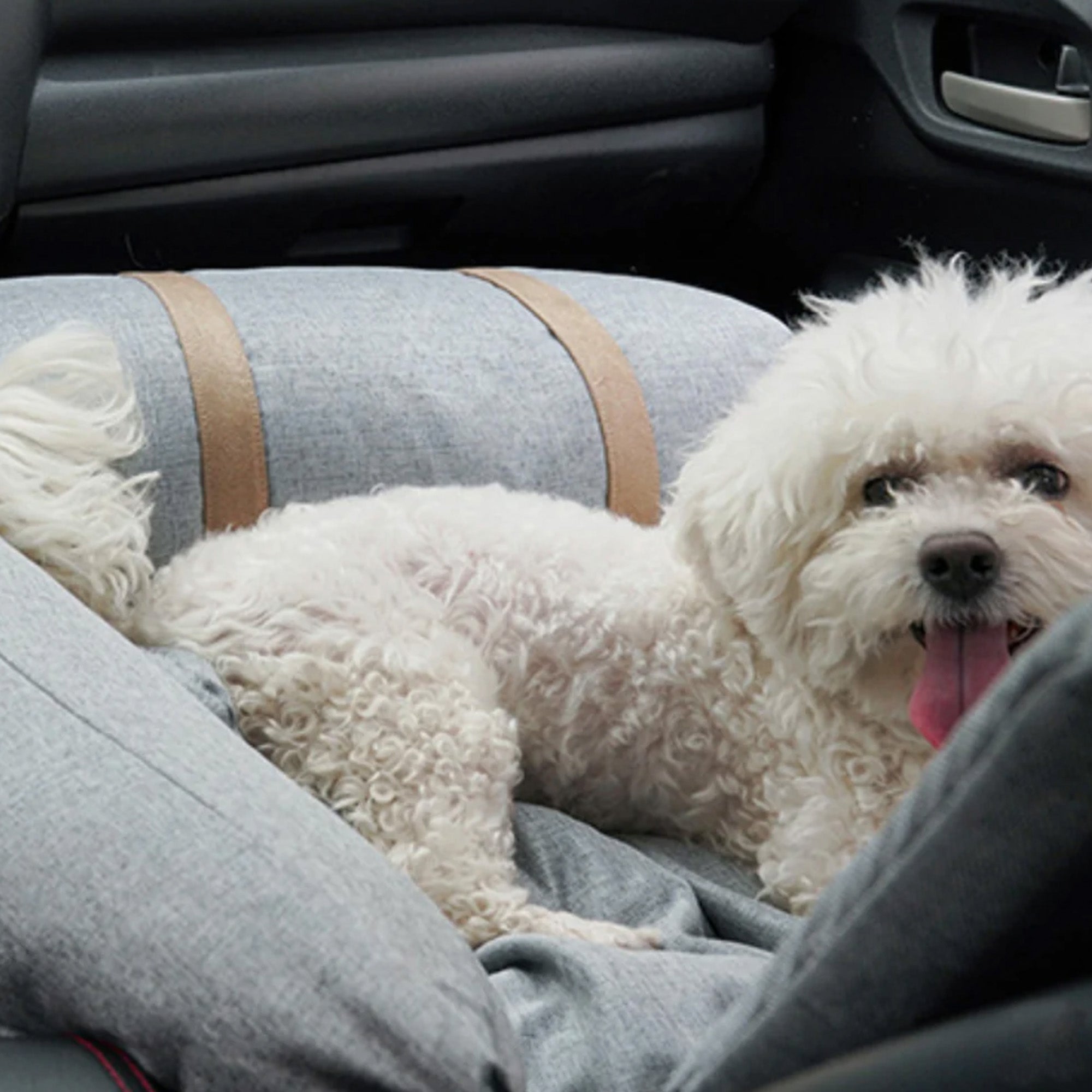 Weißer Hund im grauen orthopädischen Autositz für Haustiere, Sicherheitsbett im Auto.