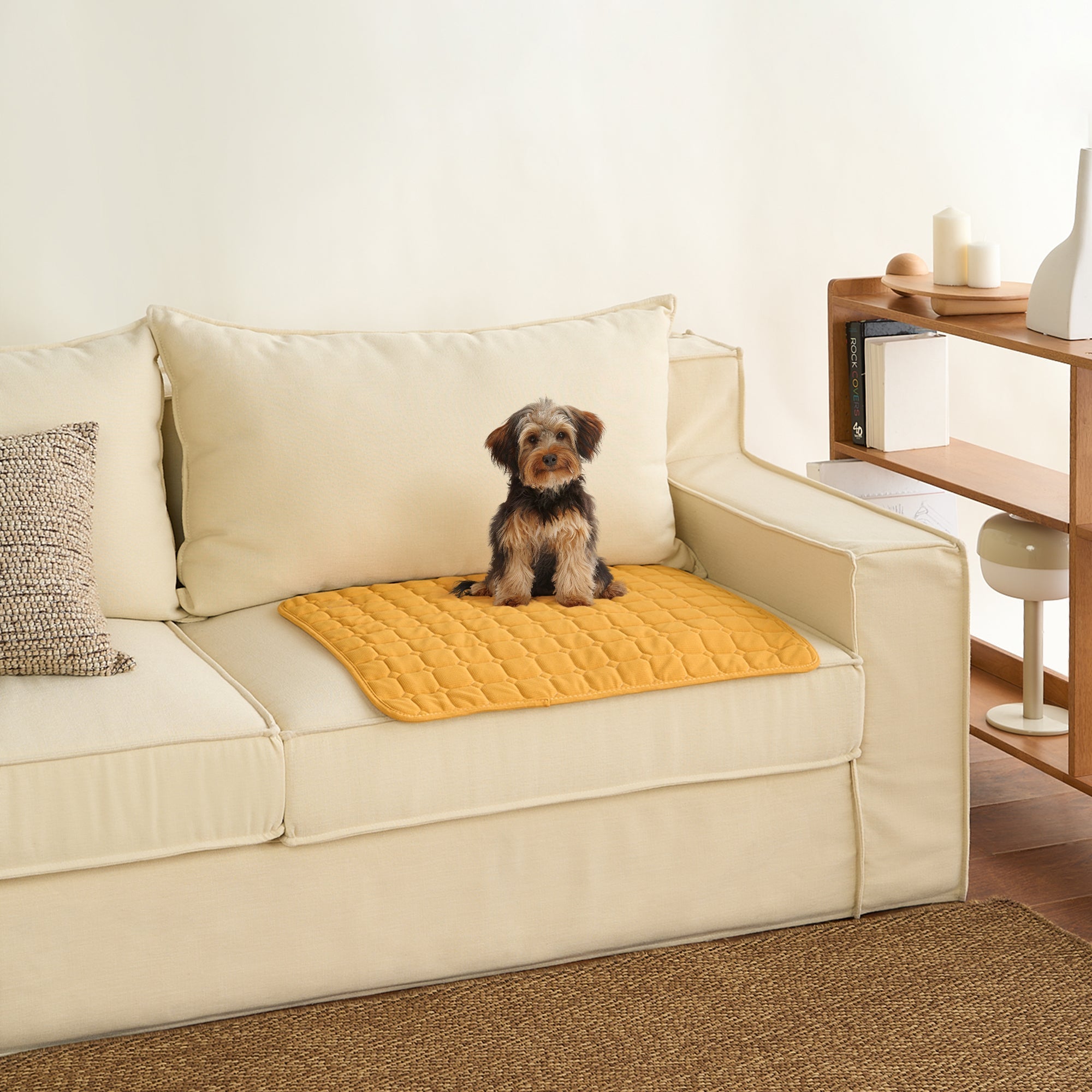 Kleiner Hund auf gelbem, waffelgewebtem, saugfähigem Haustierpad auf beigem Sofa.