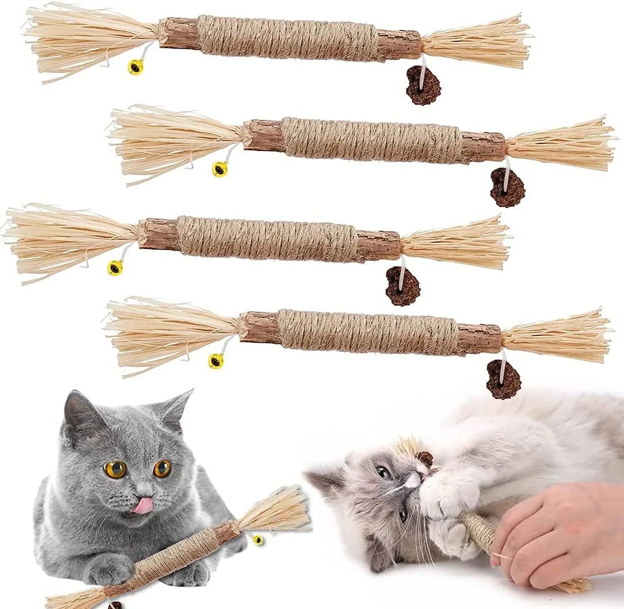 Katzenspielzeug Set aus Naturmaterialien, 5er-Pack. Ideal für Katzen zum Spielen und Kauen. Fördert Aktivität und Zahngesundheit.