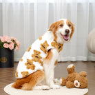 Hund in süßem Teddy-Muster-Pullover sitzt neben Plüschbär, vor weißen Vorhängen. Perfekt für Haustiermode, Hundebekleidung, niedliche Haustierfotos.