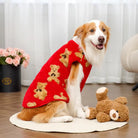 Hund in rotem Pullover mit Teddybär-Muster, sitzt auf Teppich neben Plüschtier. Perfekt für Haustiermode, Hundebekleidung, süße Hunde.