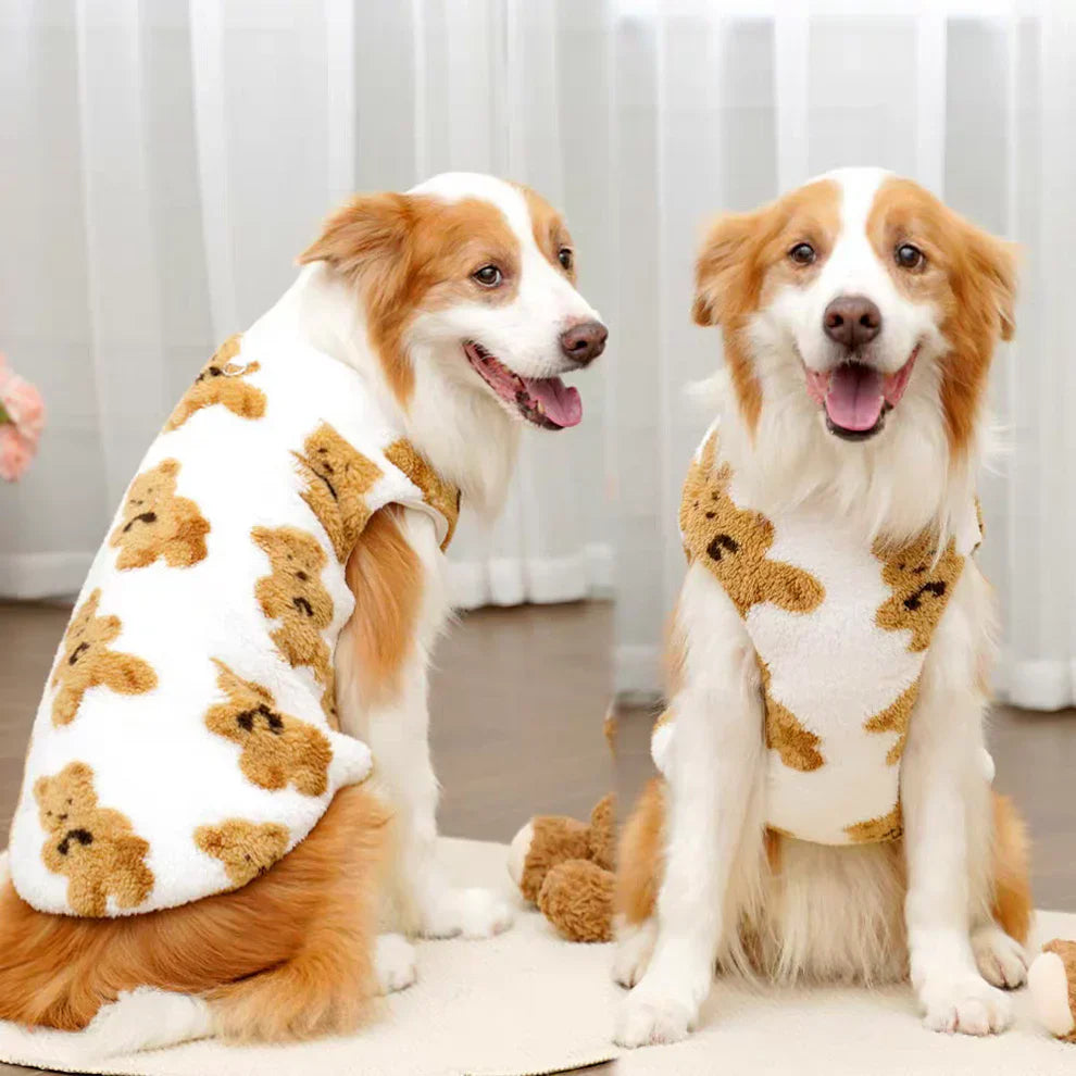 Zwei Hunde in flauschigen Pullovern mit Bärenmuster sitzen auf einem Teppich. Perfekte Haustiermode, warm und stilvoll für den Winter.