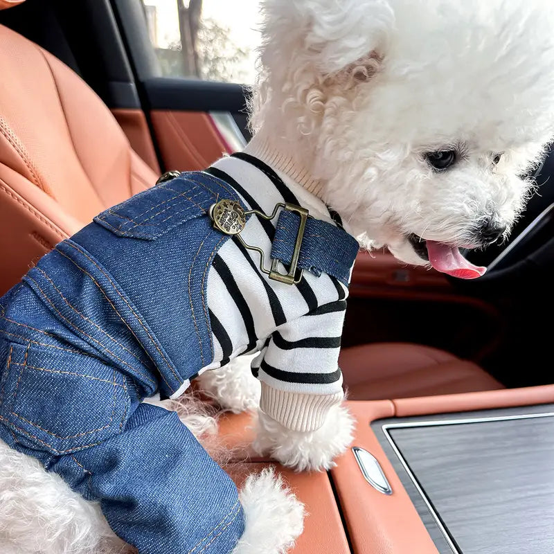 Niedlicher Hund im Auto, trägt gestreiften Pullover und Jeans-Latzhose. Perfekt für Haustiermode, Hundebekleidung, stylische Haustiere.