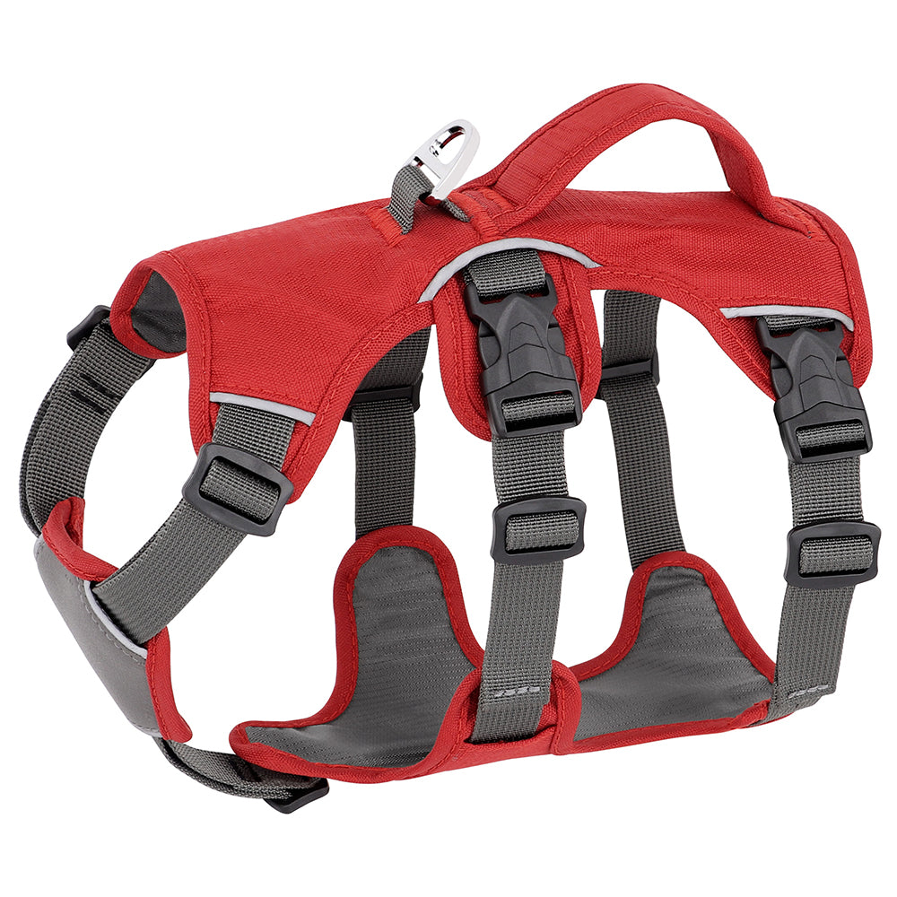 Rotes Hundegeschirr mit robusten Schnallen und verstellbaren Gurten, ideal für Outdoor-Aktivitäten. Komfortabel, sicher und langlebig.