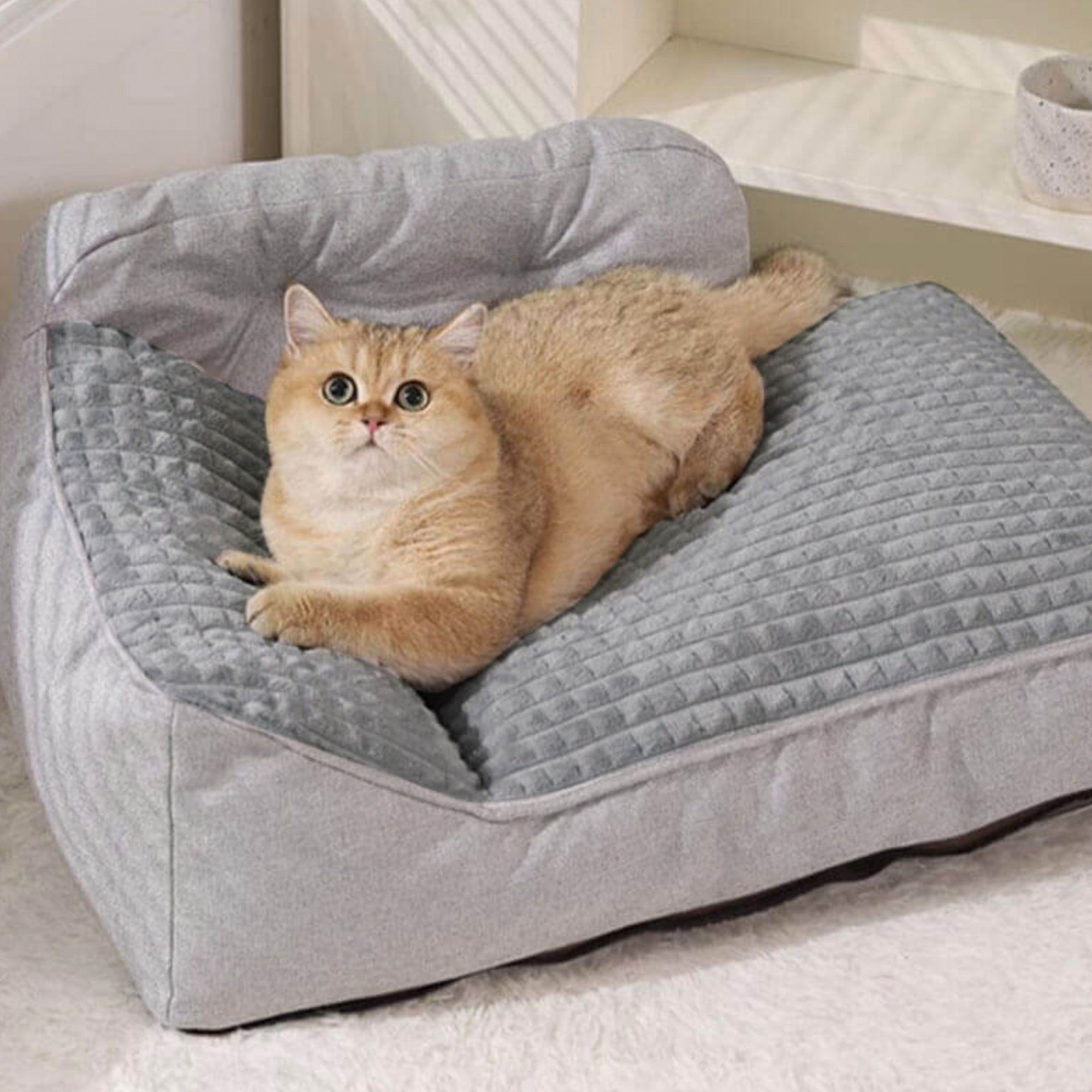 Waschbares Katzen- und Hundebett, dick, groß, grau, bequem, für alle Jahreszeiten.