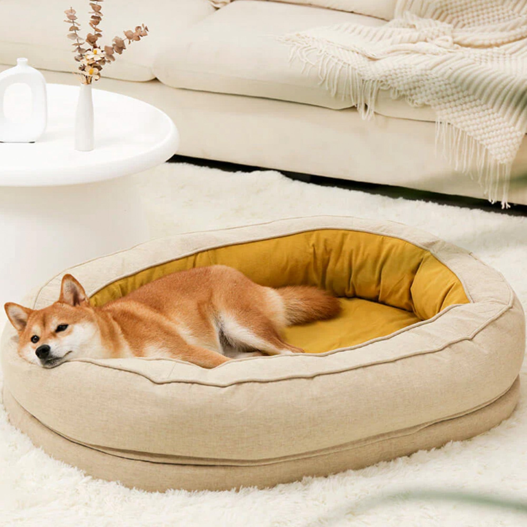 Hund in beigem, gemütlichem Donut-Hundebett, Premium-Qualität, stilvoll, komfortabel, Wohnzimmer.