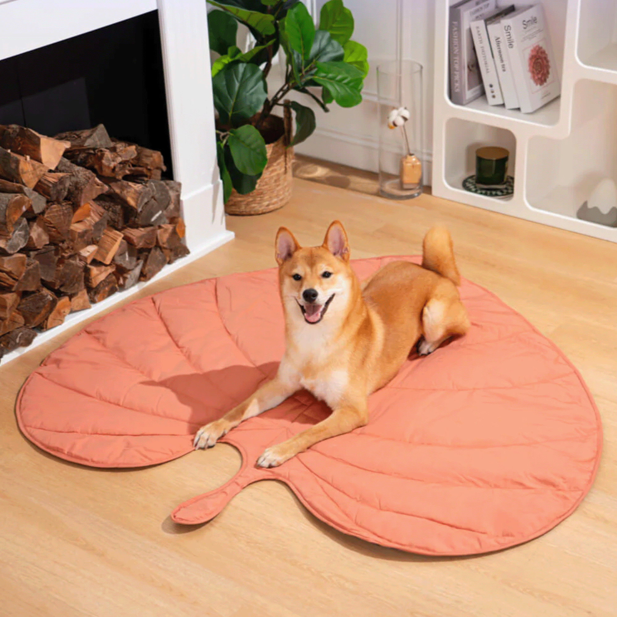 Hund auf orangefarbenem Blatt-Teppich vor Kamin, modernes Wohnzimmer, Haustiermatte.