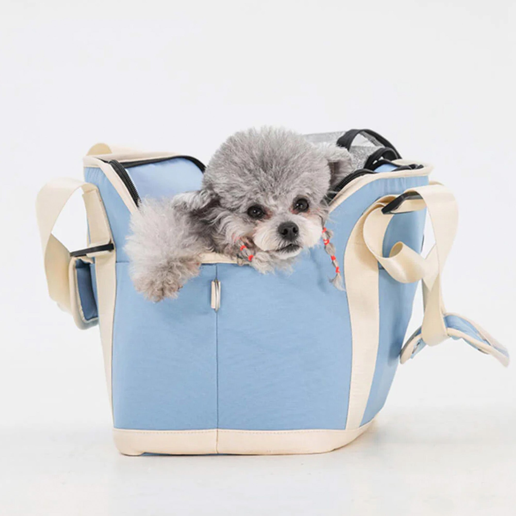 Hellblaue, wasserdichte Haustier-Reisetasche mit Kontrastfarben und kleinem Hund.