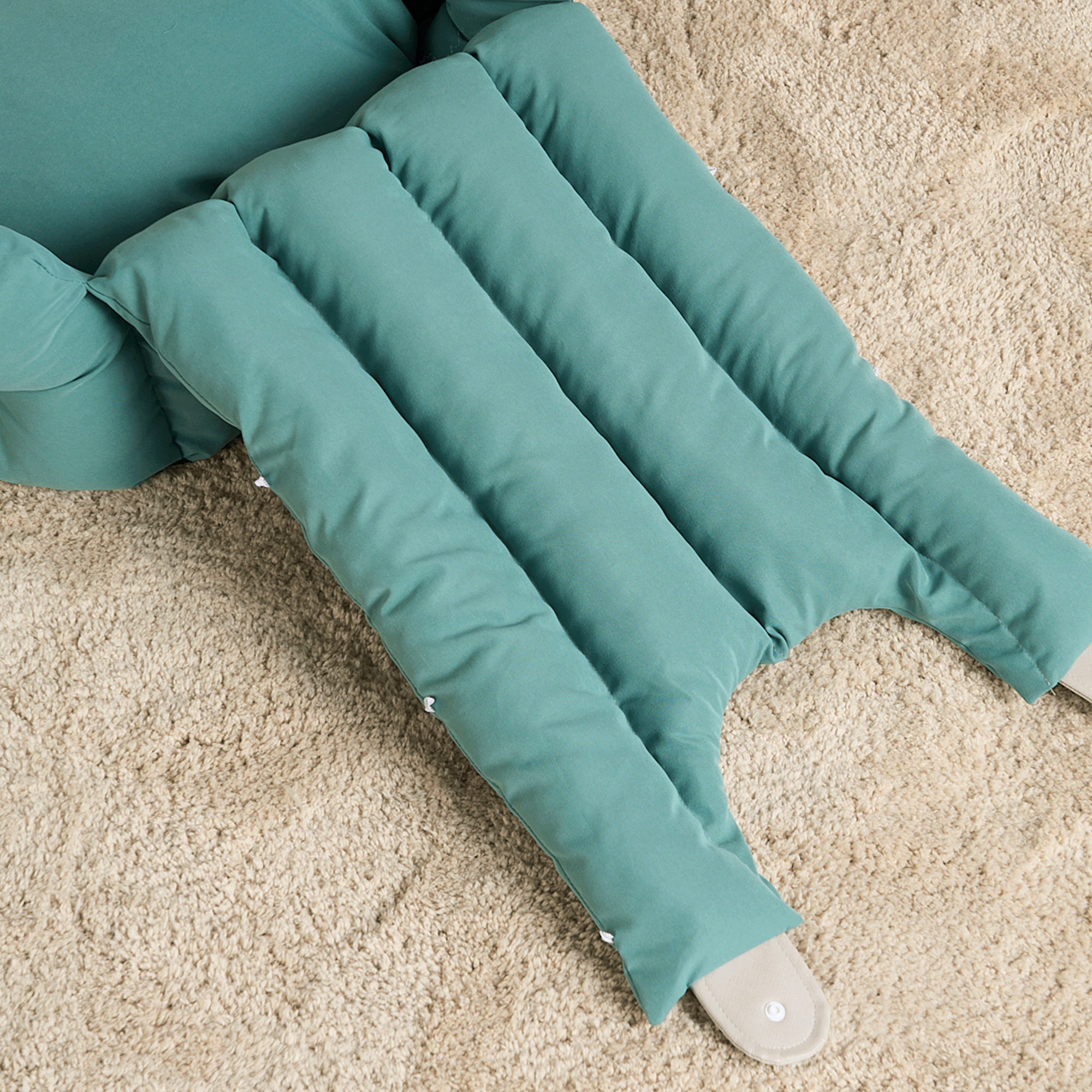 Grünes Katzenbett aus Stoff auf beigem Teppich, gemütliches Design für Haustiere.