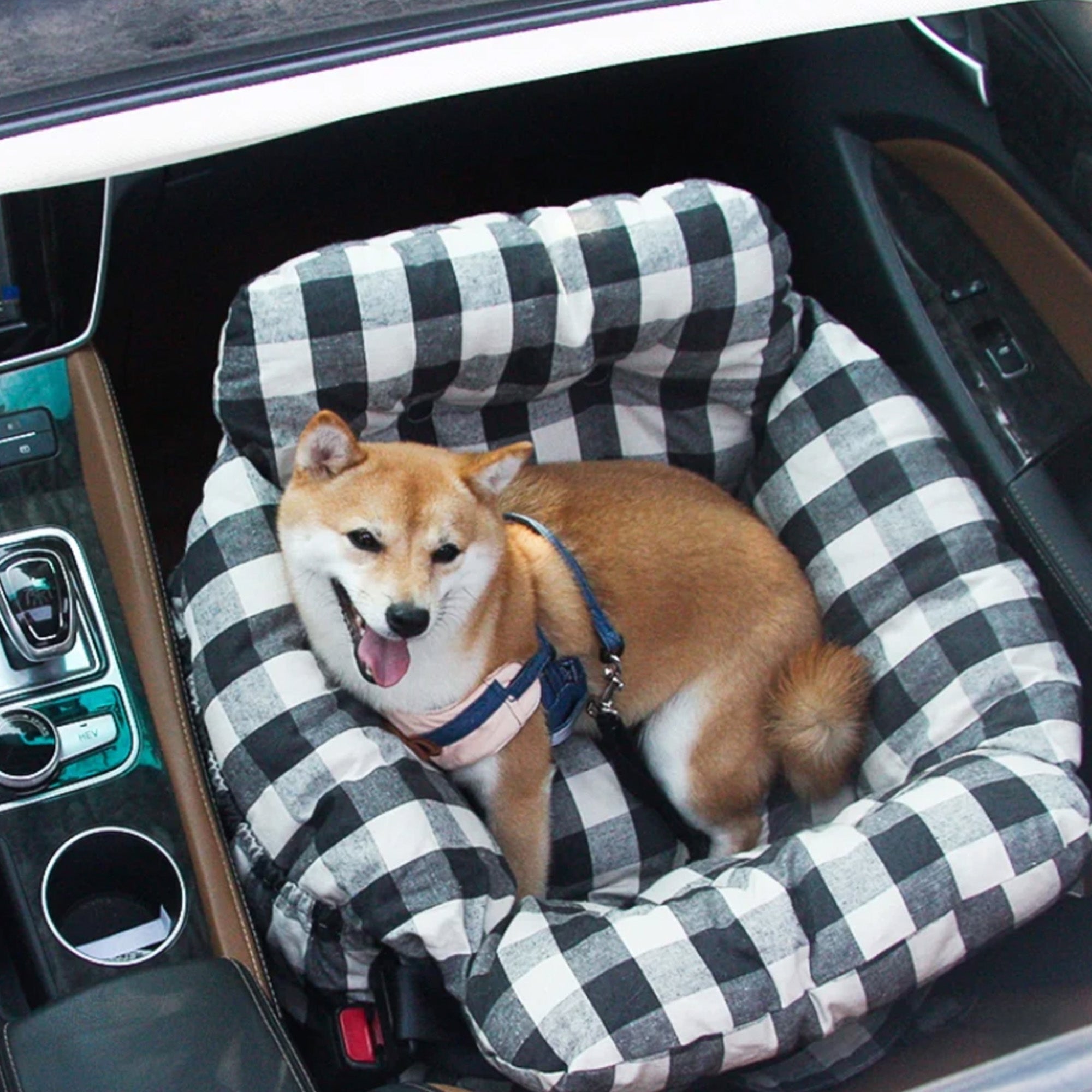 Großes kariertes Hundebett im Auto mit Shiba Inu, tragbar, bequem, ideal für Reisen.