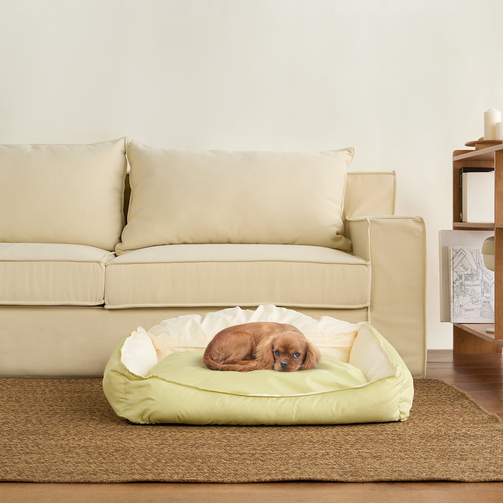 Kleiner Hund auf grünem Haustierbett vor beigem Sofa, gemütliches Wohnzimmer-Interieur.