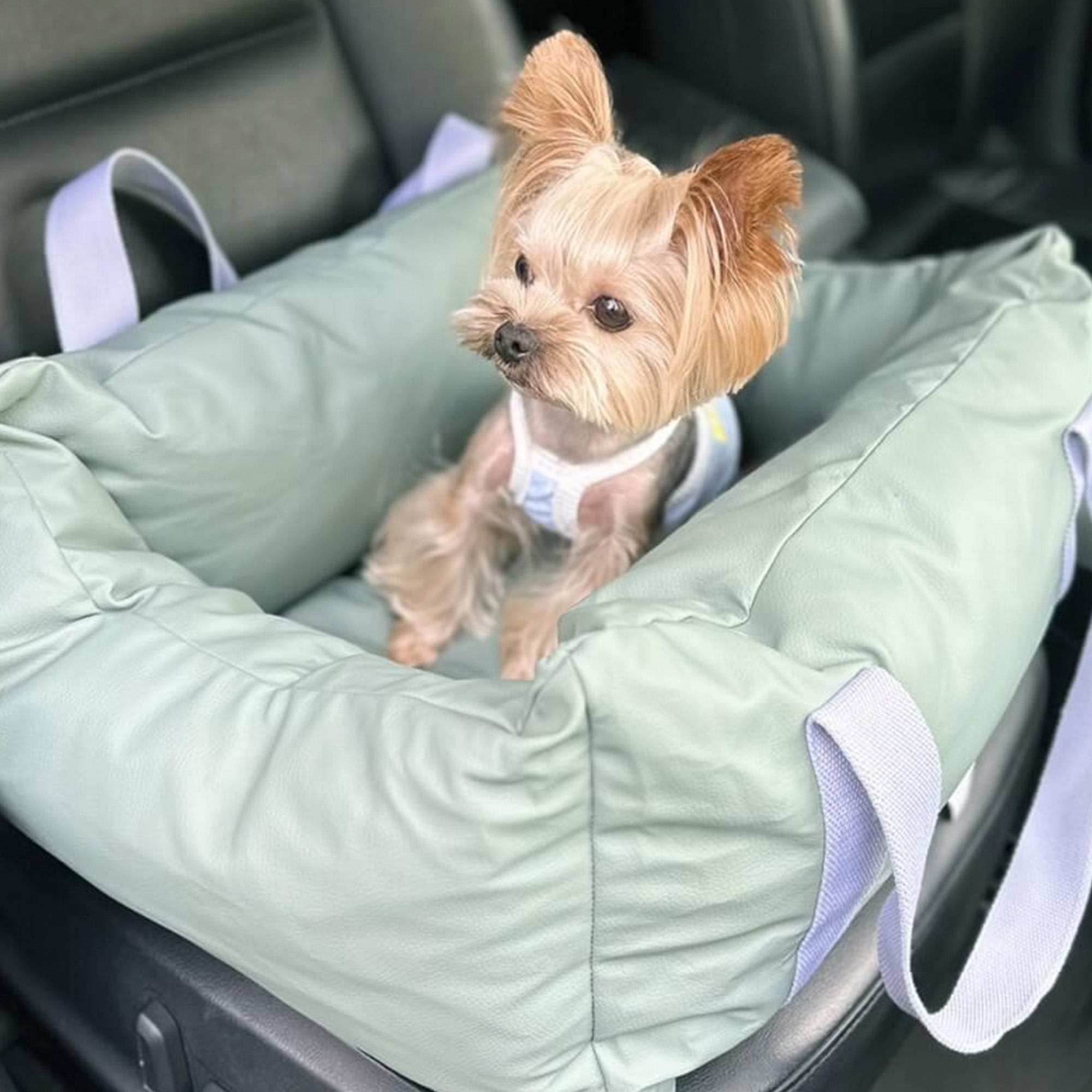 Kleiner Hund in grünem, wasserdichtem Autositz für Haustiere, sicherer Reisesitz, Autozubehör.