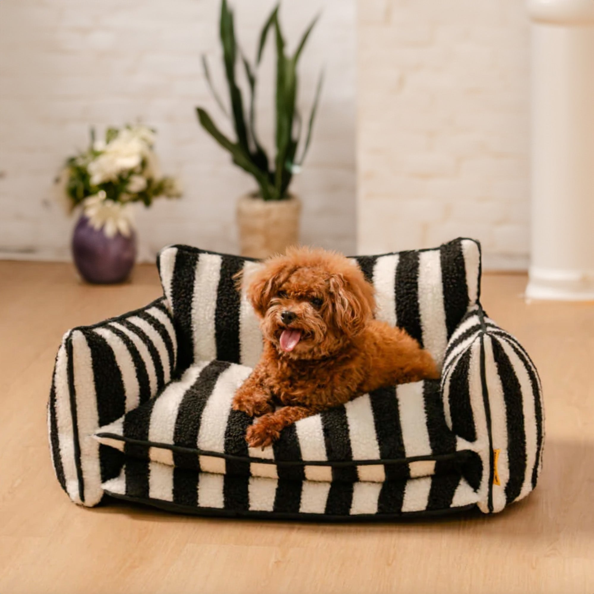 Gestreiftes Hundesofa aus Kunstlammwolle, schwarz-weiß, mit kleinem Hund, gemütlich und stilvoll.