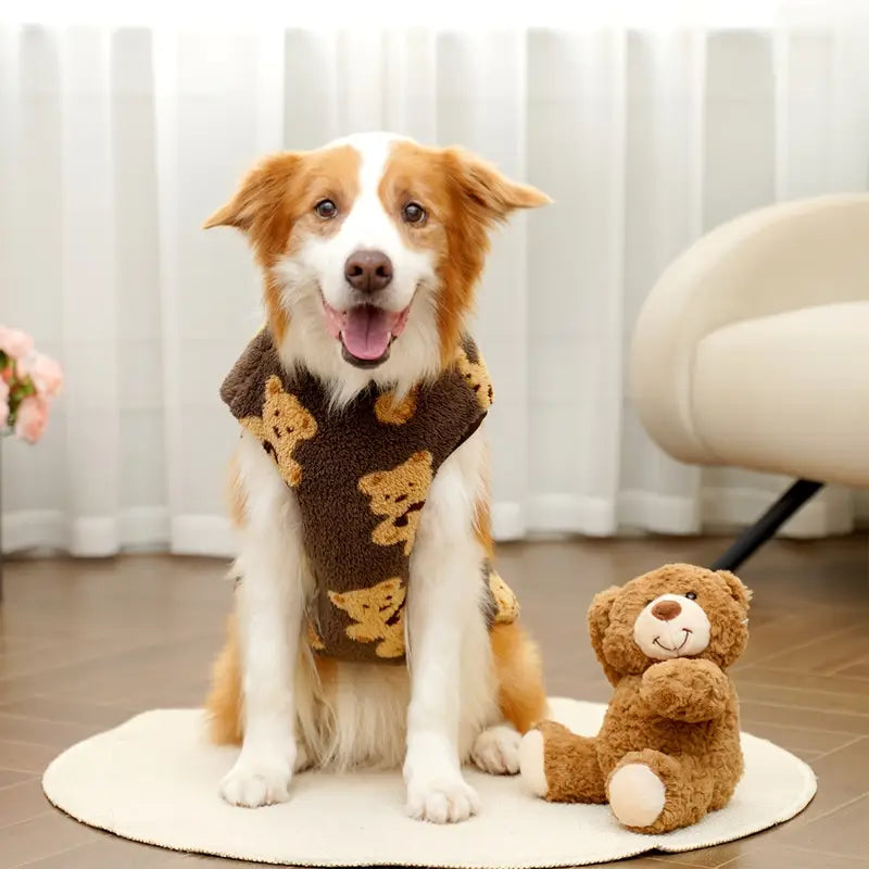 Hund in süßem Pullover mit Teddybär-Muster sitzt neben Plüschbär auf Teppich. Perfekt für Haustiermode, Hundebekleidung, niedliche Tierfotos.