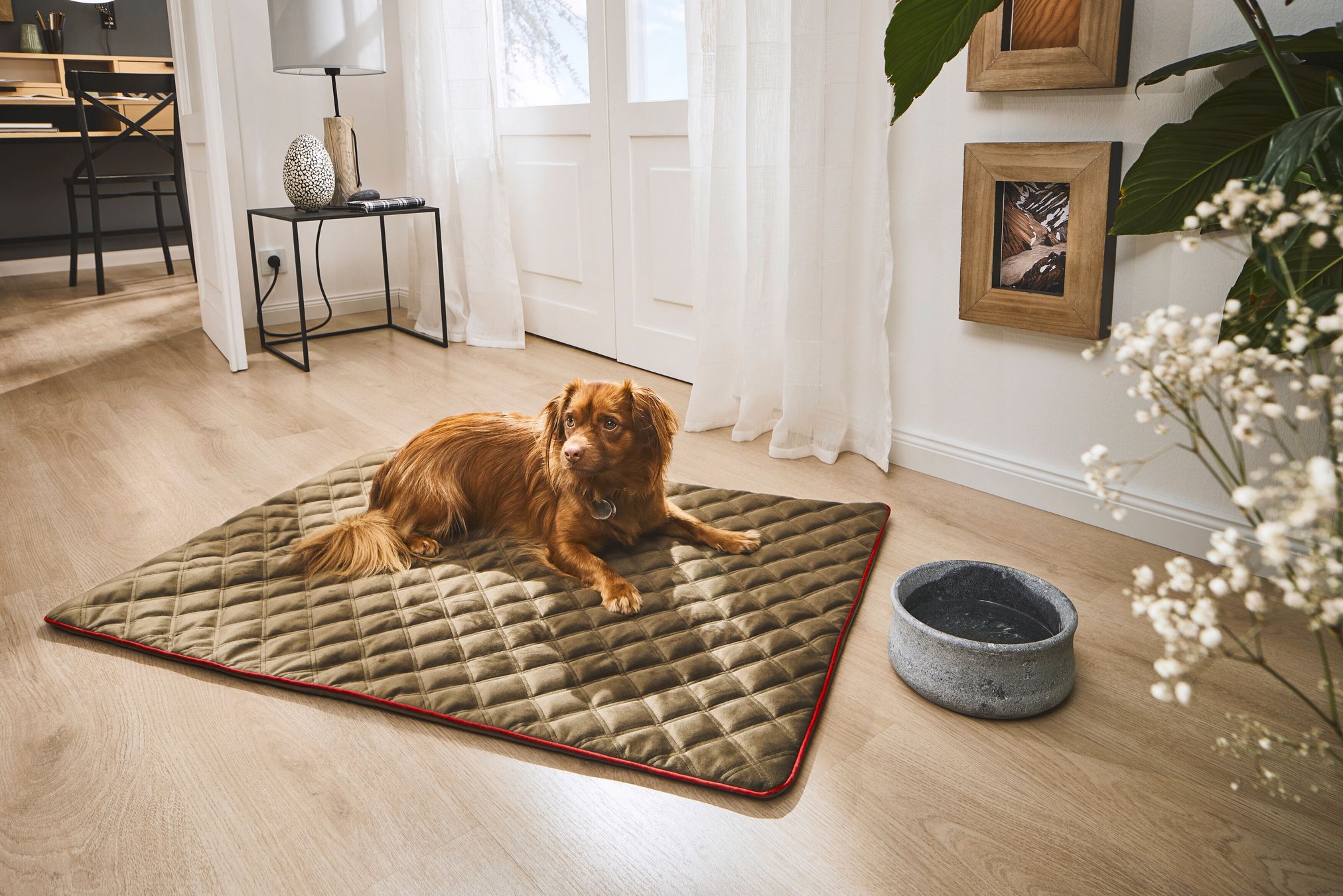 Hund auf brauner Hundematte im Wohnzimmer, neben grauem Futternapf, Holzboden, moderne Einrichtung.