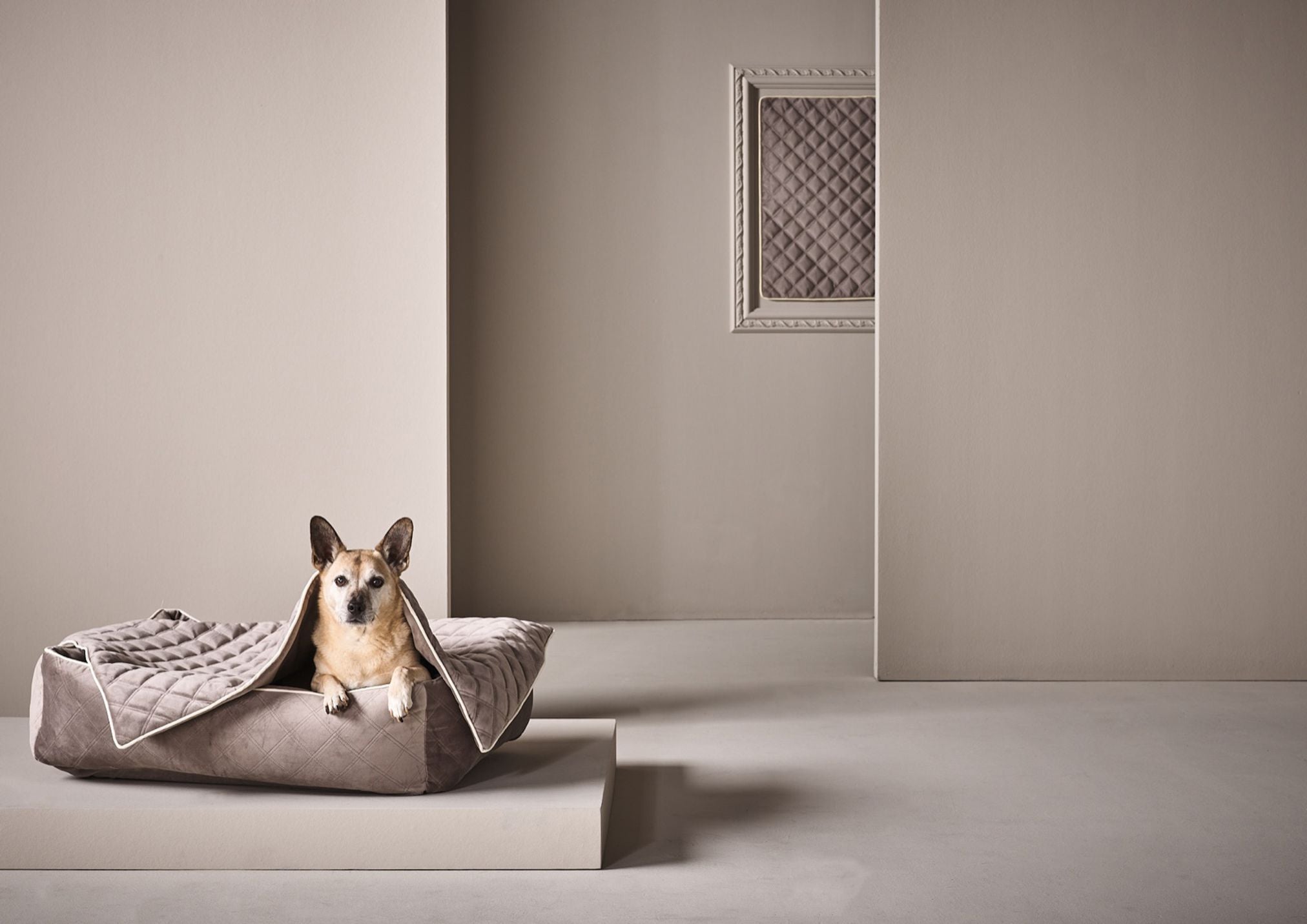 Hund in grauem, gesteppter Hundebett aus Samt, modernes Design, luxuriöses Haustierzubehör.