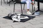 Hund auf schwarzer Hundematte neben Tisch, grauer Napf, Person in weißen Hosen und Sneakers.