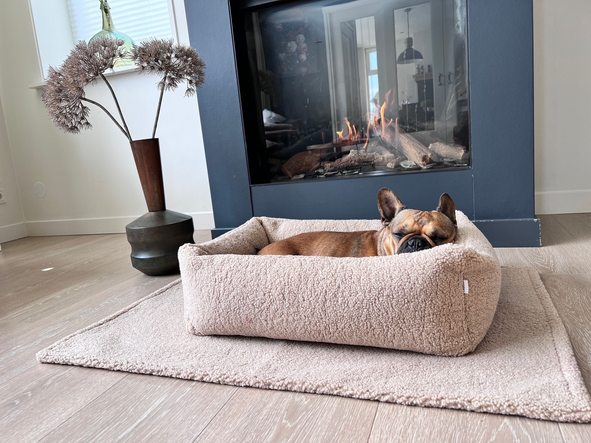 Französische Bulldogge schläft in beigem Hundebett vor Kamin, gemütliches Wohnzimmerambiente.