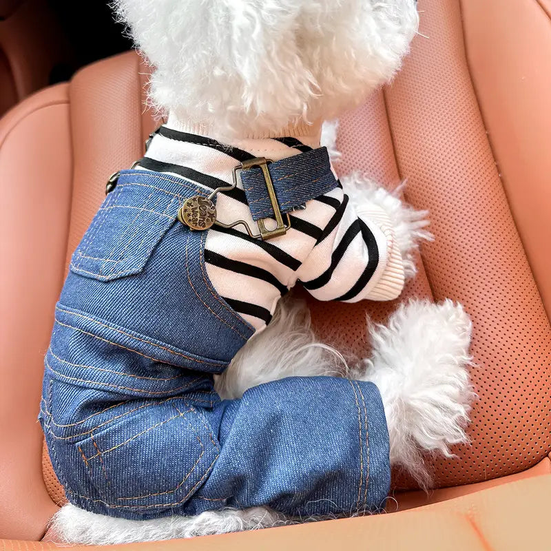Hund in gestreiftem Pullover und blauer Jeans-Latzhose auf Autositz. Modische Haustierkleidung, stilvolle Hundebekleidung, Haustiermode.