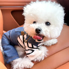 Niedlicher weißer Pudel im Auto, trägt gestreiften Pullover und Jeans. Perfektes Haustierfoto, Hundemode, Tierbekleidung, Autofahrt.
