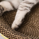 Katzenpfote auf Kratzbrett aus Wellpappe, Nahaufnahme, beige, Katzenzubehör, Kratzspielzeug.