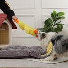 Hund spielt mit gelbem Quietschspielzeug in Hühnerform vor Hundehütte. Perfektes Hundespielzeug, robust und interaktiv, ideal für Haustiere.