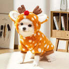 Niedlicher Hund im Rentierkostüm, perfekt für Weihnachten. Flauschiges, orangefarbenes Outfit mit Geweih und roter Nase. Haustiermode, festlich.