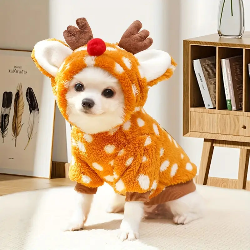 Niedlicher Hund im Rentierkostüm, perfekt für Weihnachten. Flauschiges, orangefarbenes Outfit mit Geweih und roter Nase. Haustiermode, festlich.