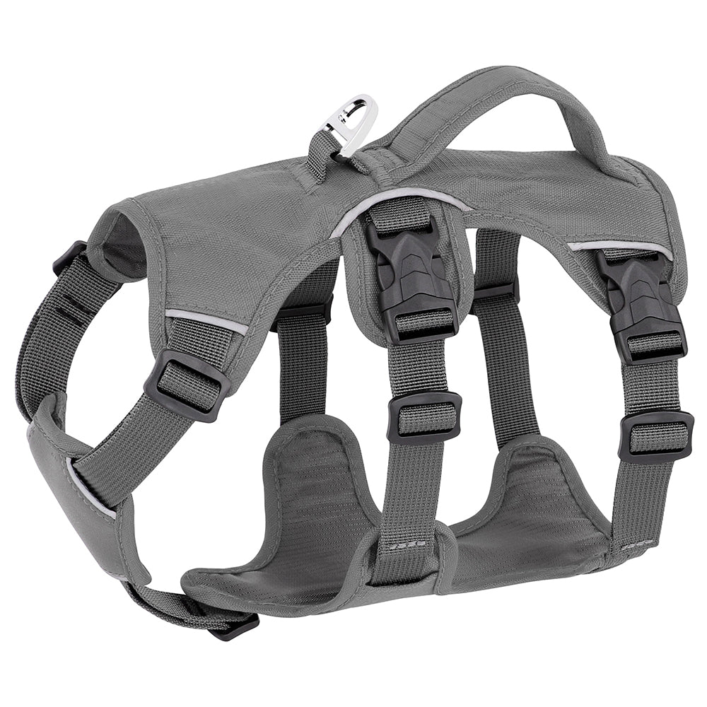 Graues Hundegeschirr mit robusten Schnallen und verstellbaren Gurten, ideal für Outdoor-Aktivitäten. Komfortabel, langlebig, sicher.