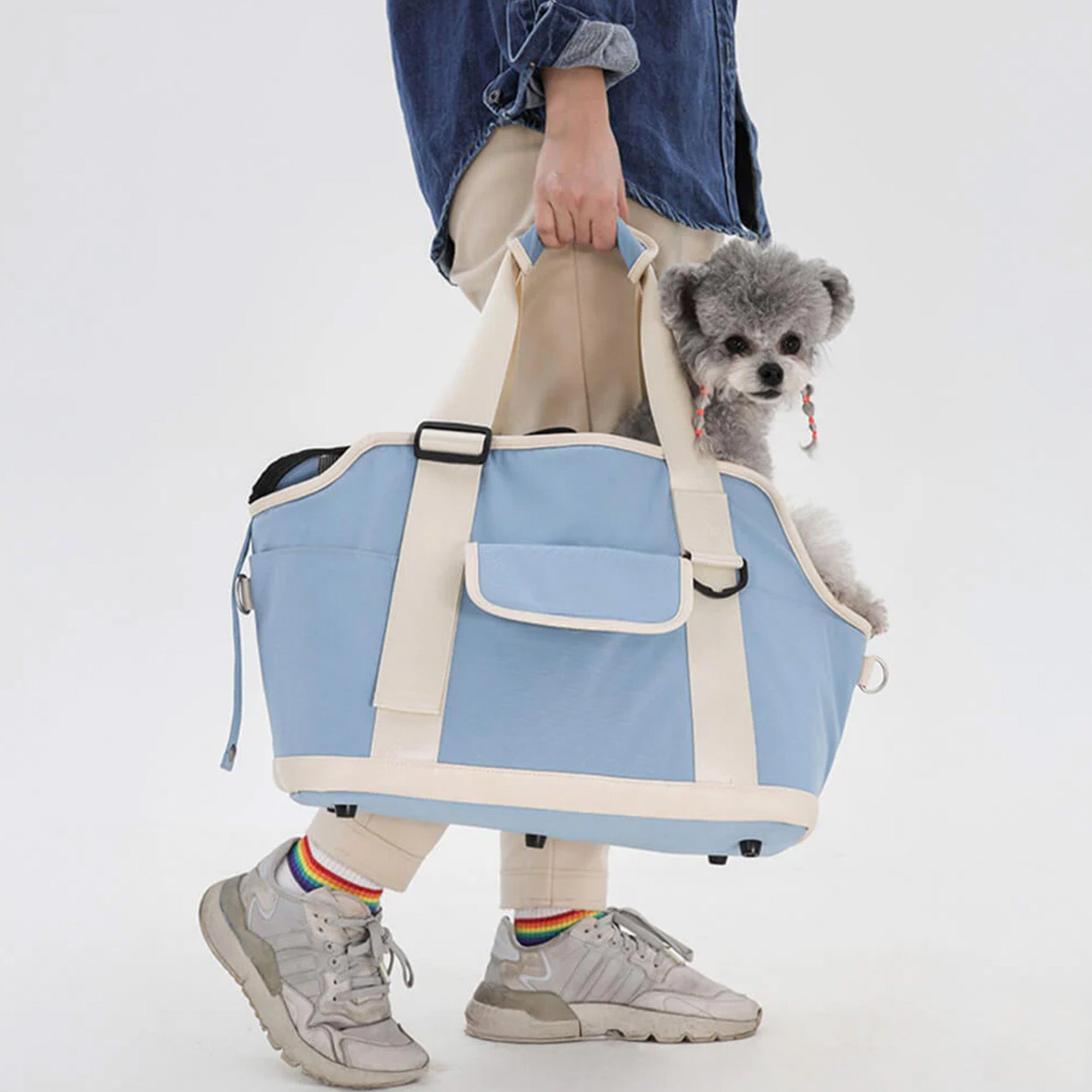 Leichte blaue wasserdichte Haustier-Reisetasche mit Kontrastfarben und Hund.