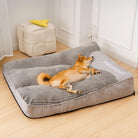 Hund auf grauem orthopädischen Hundebett, Premium-Komfort, rechteckig, im Wohnzimmer.
