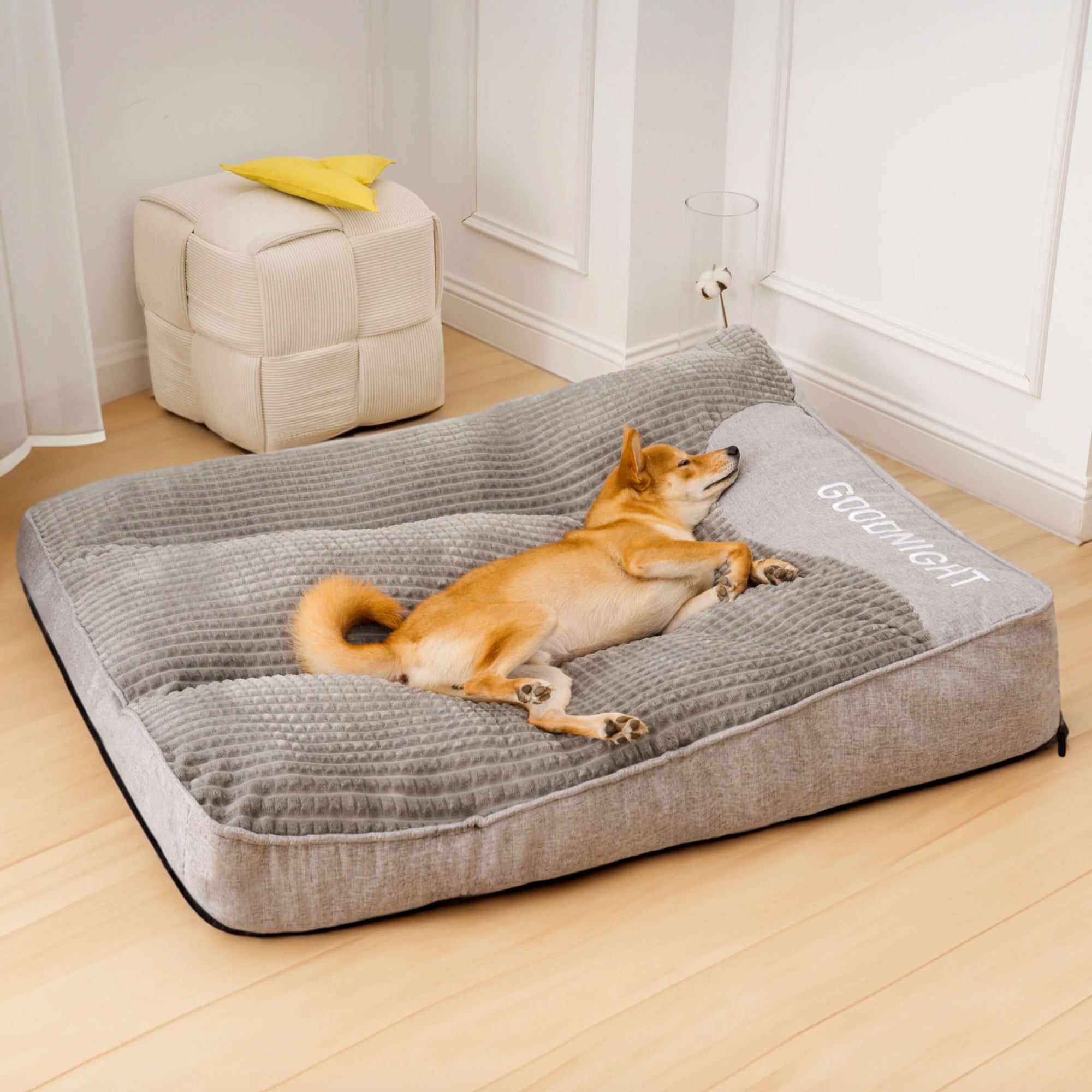 Hund auf grauem orthopädischen Hundebett, Premium-Komfort, rechteckig, im Wohnzimmer.