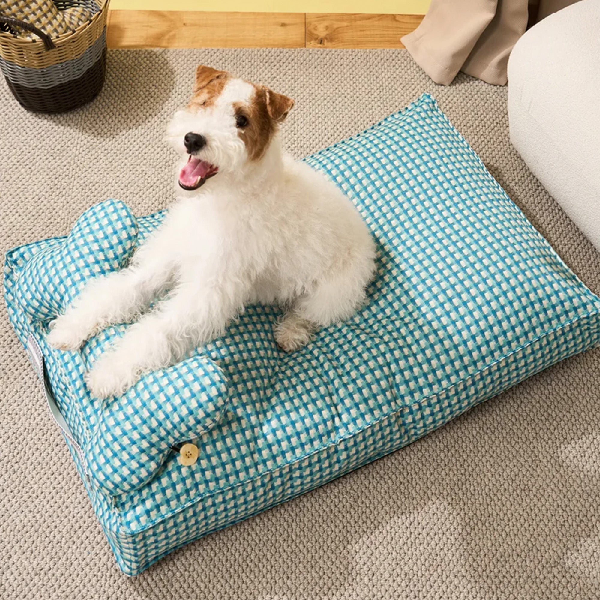 Hund auf blau-weiß kariertem Hundebett, rechteckig, beruhigend, gemütlich, Wohnzimmer.