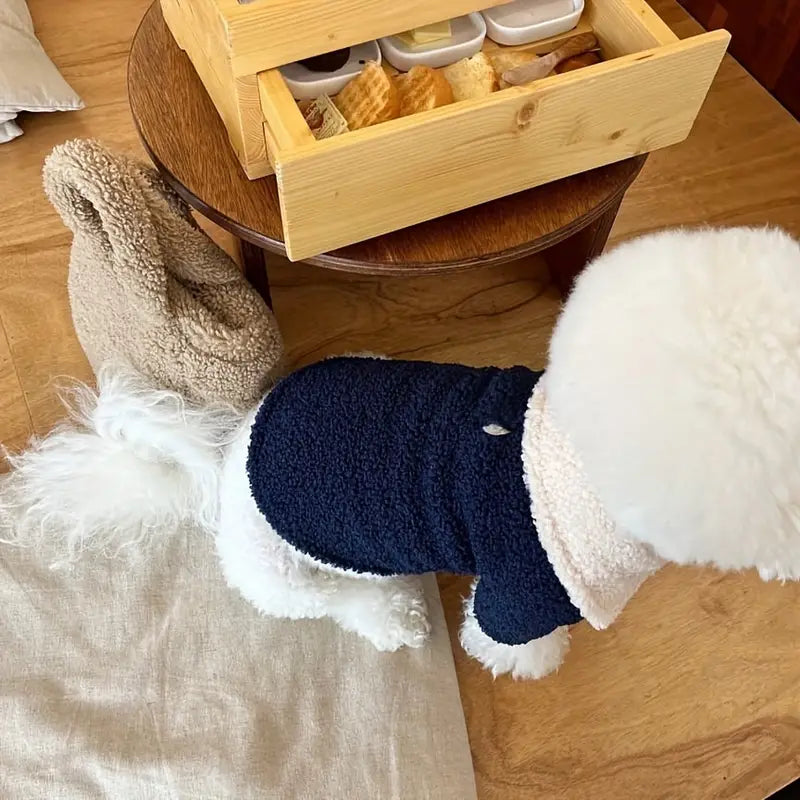 Weißer Pudel im blauen Pullover neben einem Holztisch mit Frühstückstablett. Perfekt für Haustiermode, Hundebekleidung, gemütliche Heimdekoration.