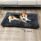 Corgi auf grauem, flauschigem Hundebett XL vor Sofa, gemütlich, Haustierbedarf.