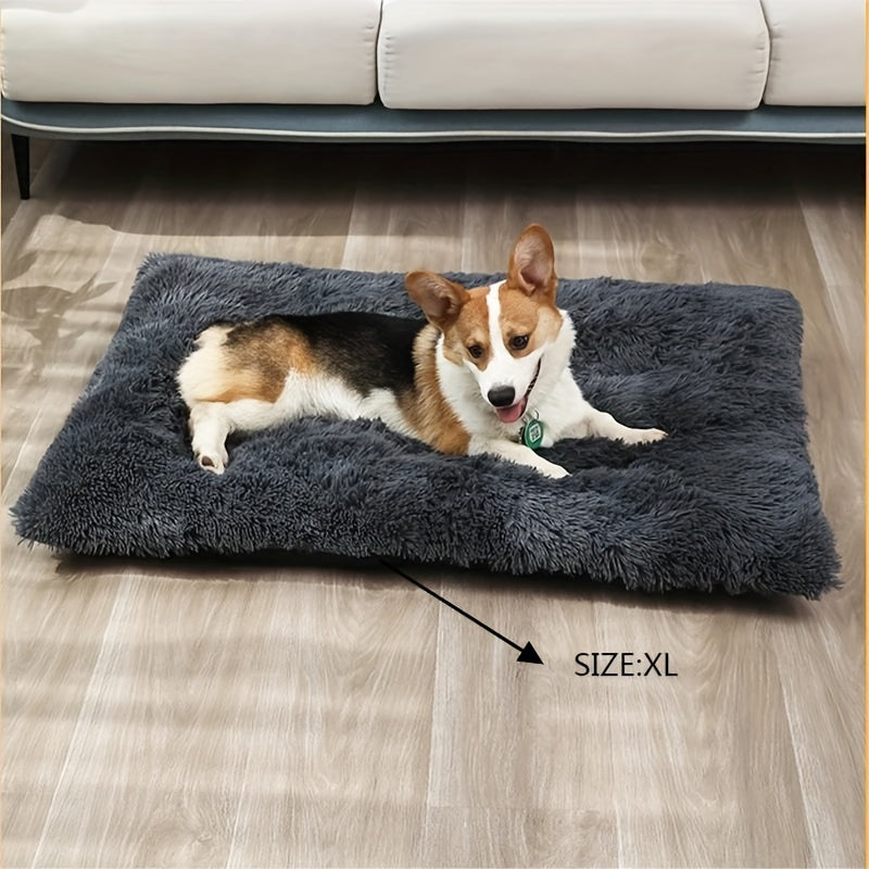 Corgi auf grauem, flauschigem Hundebett XL vor Sofa, gemütlich, Haustierbedarf.