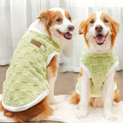 Zwei Hunde in grünen, flauschigen Hundemänteln sitzen auf einem Teppich. Perfekte Haustierbekleidung für kalte Tage. Hundemode, Wintermantel.