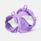 Lila Hundegeschirr, verstellbar und gepolstert, ideal für kleine bis mittelgroße Hunde. Komfortabel, langlebig, perfekt für Spaziergänge.