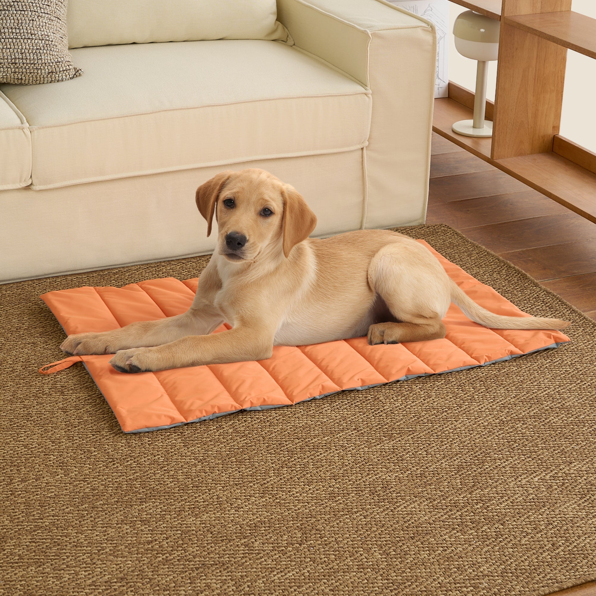 Wasserdichte orange Haustiermatte auf Teppich mit Hund, ideal für drinnen und draußen.