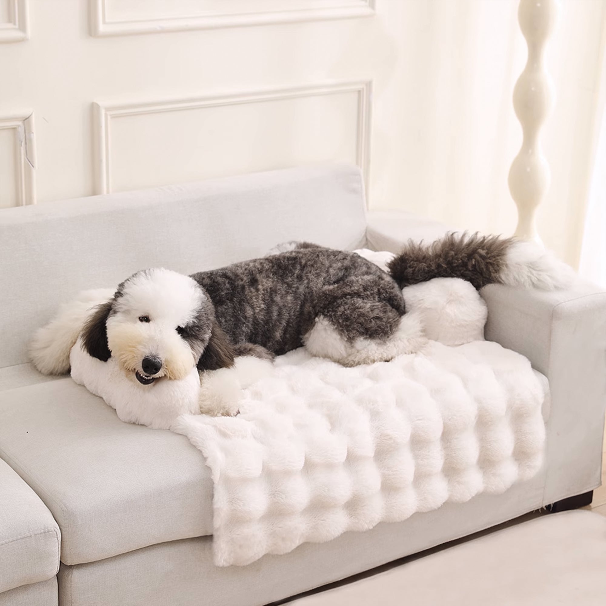 Hund auf weißem, flauschigem Haustierbett auf Sofa, gemütlich, luxuriös, Wohnzimmer-Dekoration.