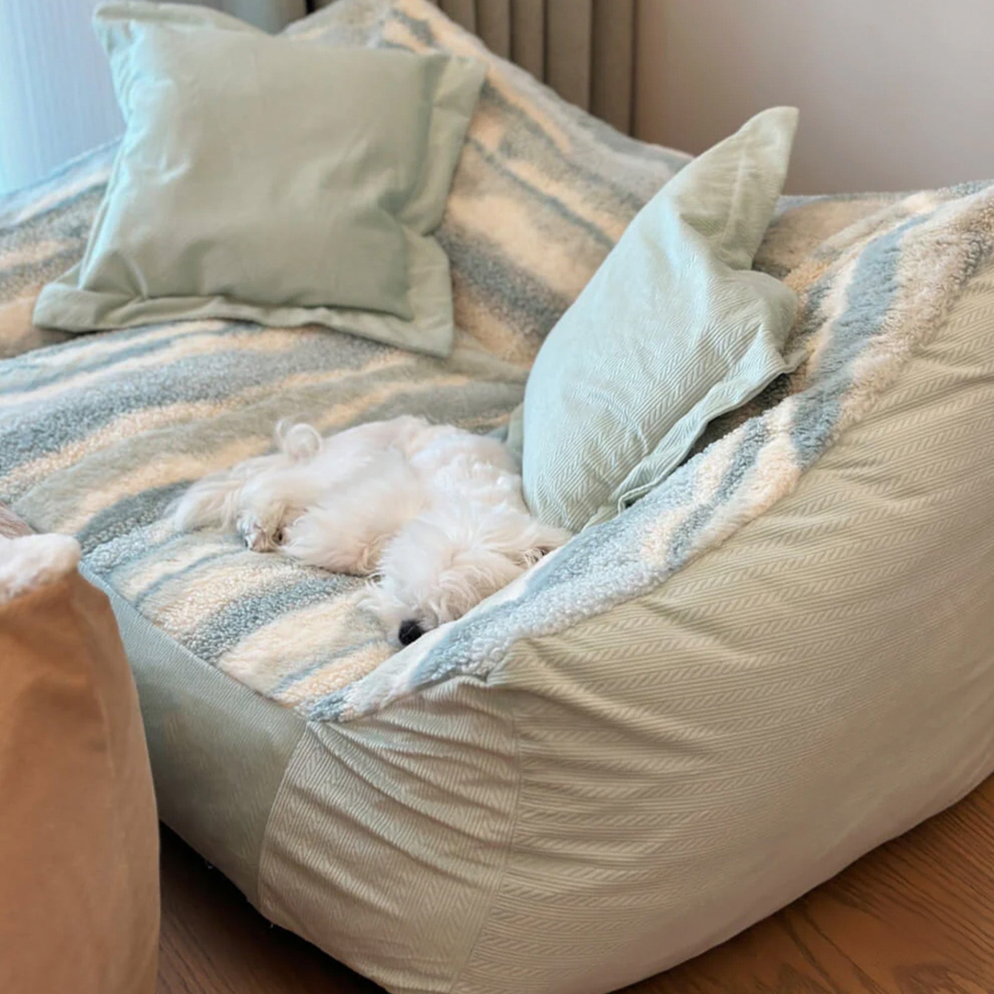 Hund auf farbblockigem Polar-Fleece-Sofa, grün-weiß gestreift, gemütlich, modernes Design.