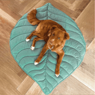 Hund auf grünem Blatt-förmigem Haustierbett, Holzboden, gemütlich, stilvoll, Heimdekoration.