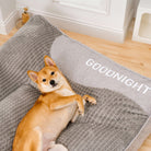 Hund auf grauem orthopädischen Hundebett, Premium Komfort, mit "GOODNIGHT" Schriftzug.