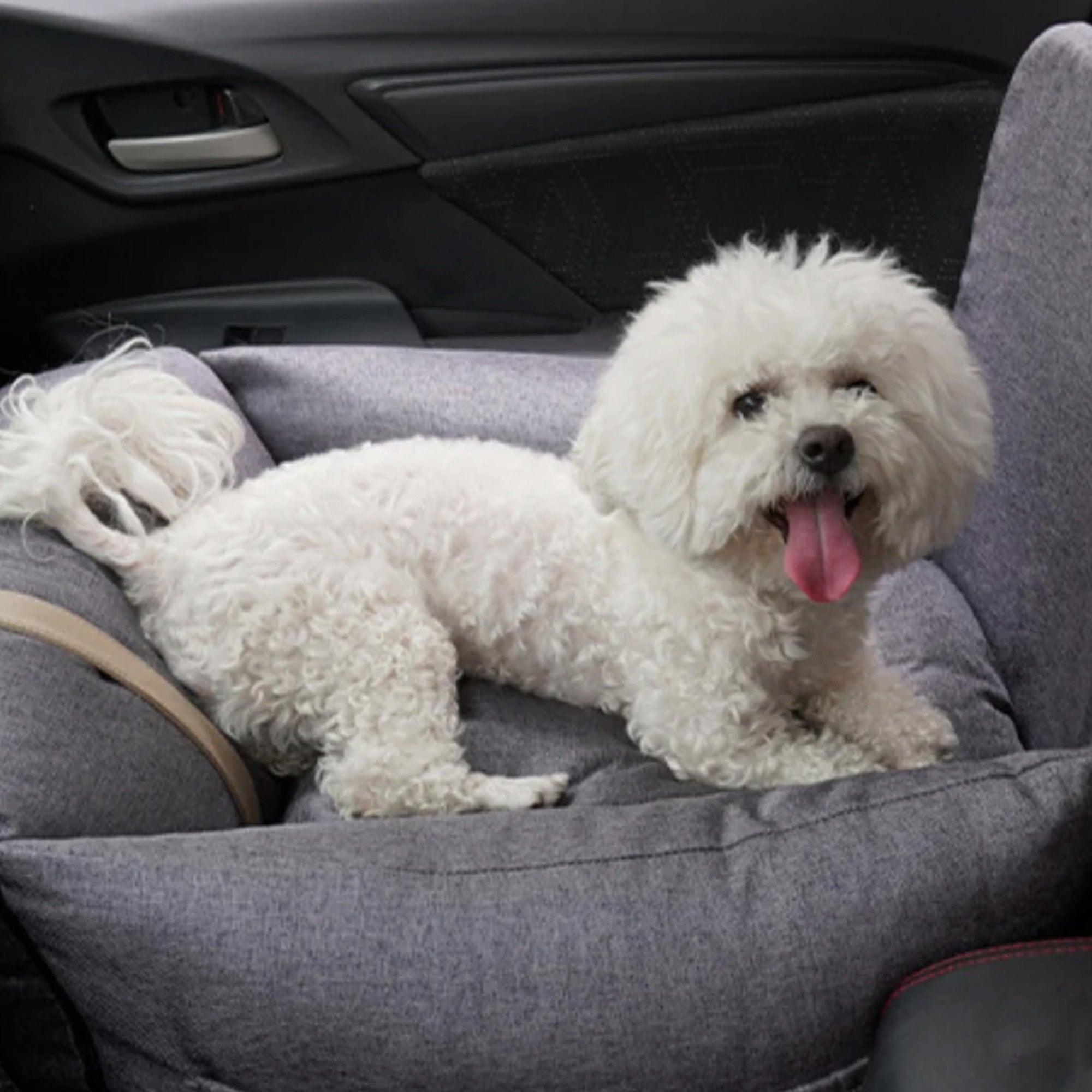 Weißer Hund in grauem orthopädischen Autositz für Haustiere, Sicherheitsbett im Auto.