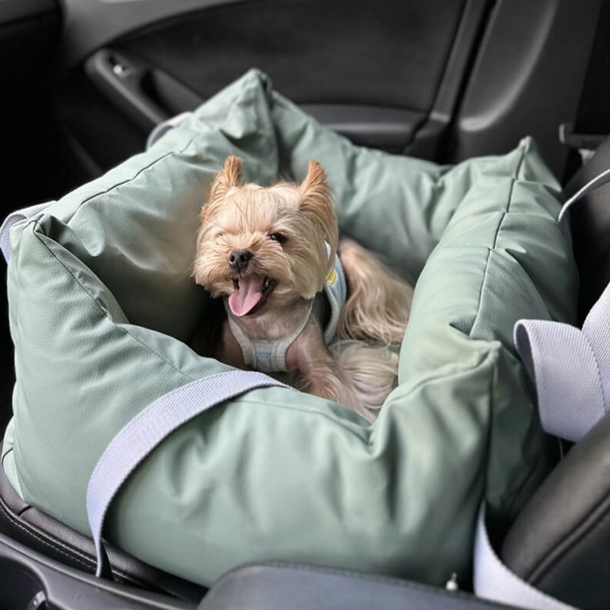 Wasserdichter Hundesitz Auto, großer grüner Stoff, sicherer Reisesitz für Hunde.