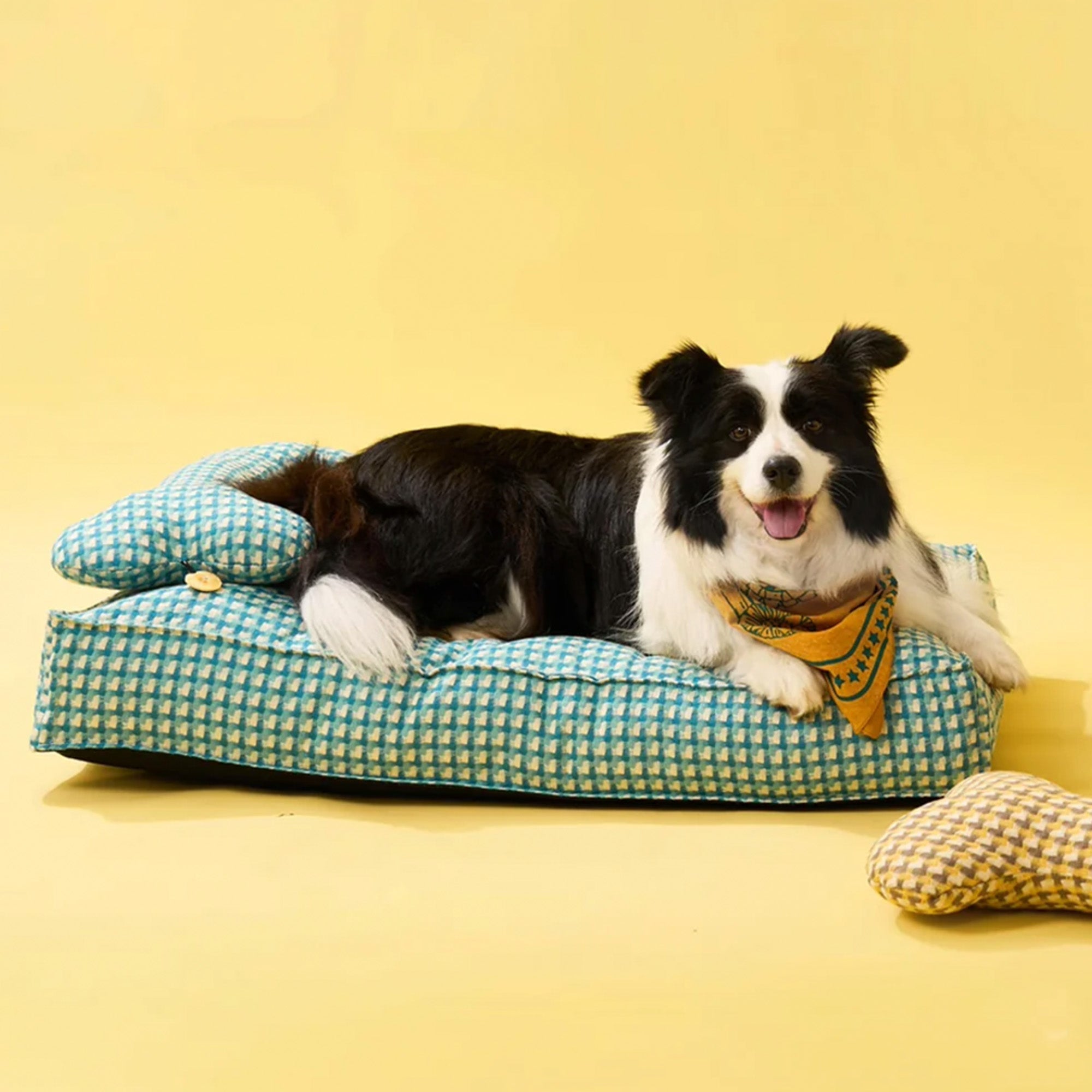 Hund auf blau-weiß kariertem Hundebett, beruhigend, gemütlich, für Haustiere, Schlafplatz.