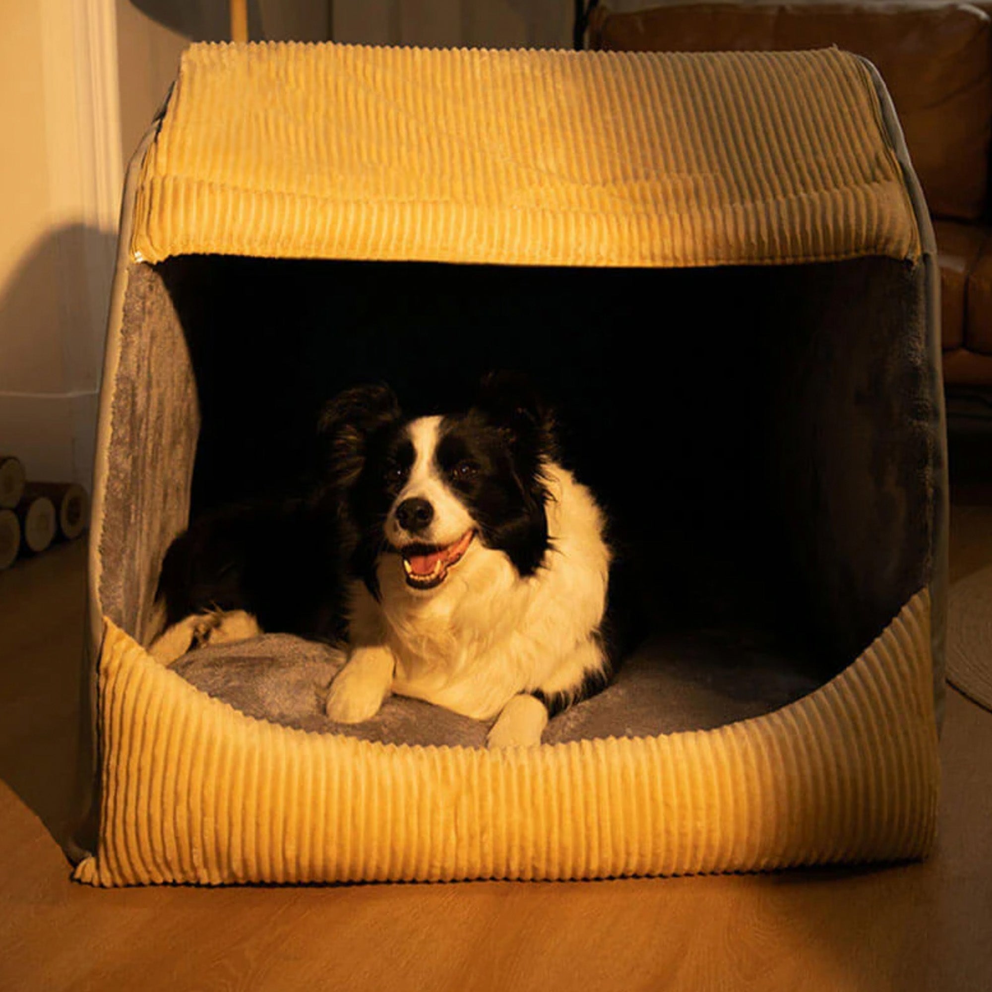 Großes, abnehmbares Hundebett aus warmem Flanell, halbgeschlossen, mit Border Collie.