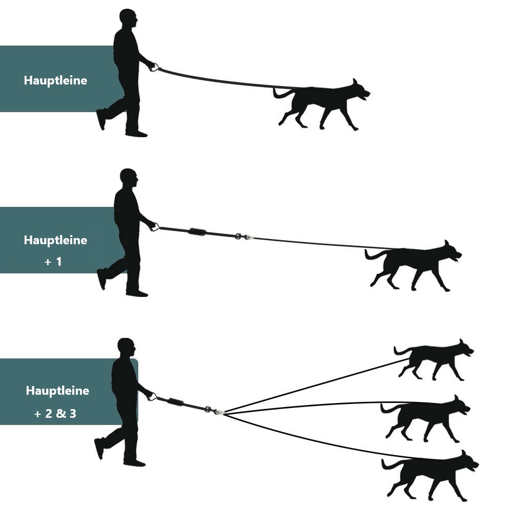 Hundeleine für Mehrfachführung: Praktische Leine für das gleichzeitige Ausführen von bis zu drei Hunden. Ideal für Hundebesitzer und Gassigeher.