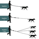 Hundeleine für Mehrfachführung: Praktische Leine für das gleichzeitige Ausführen von bis zu drei Hunden. Ideal für Hundebesitzer und Gassigeher.