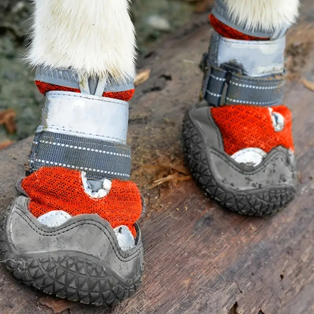 Pferdehufe mit robusten, roten Hufschuhen auf einem Baumstamm. Ideal für Outdoor-Reiten, Schutz und Komfort. Hochwertige Pferdeausrüstung.